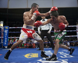 Омар Нино завоевал титул WBC Мексиканец оказался сильнее в матче-реванше против Родела Майола. 