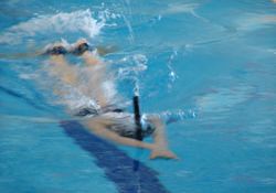 Харьков ждет пловцов из России и Эстонии 15-17 декабря в бассейне ХПИ состоятся международные соревнования по плаванию в ластах среди юношей и взрослых.