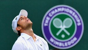 7 американцев получили путевки на US Open Организаторы турнира определяются с участниками.