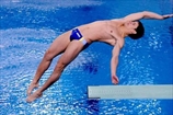 Прыжки в воду. Назван состав сборной Украины на чемпионат Европы