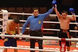 Результаты поединков турнира "PRO BOXING SHOW VIII"