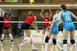Украина простилась с волейбольными еврокубками
