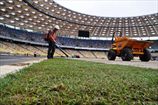 На Олимпийском начали стелить газон