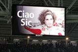 MotoGP. Бывшая команда Симончелли почтит память итальянца