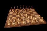 Шахматы. Украинцы побеждают на чемпионате Европы