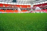 Полив газона на Евро-2012 — только с согласия обоих тренеров