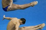 Прыжки в воду. Украинцы завоевали серебро Мировой серии