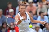 Бухарест (WTA). Никаких проблем для Халеп и Винчи