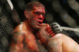 Антонио Силва — Фрэнк Мир на UFC 184