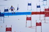 Горные лыжи. ЧМ: Австрия выиграла командное золото