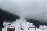 Горные лыжи. Туман в Банско помешал проведению женского супергиганта