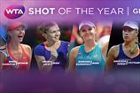 WTA выбирает "Удар года"