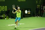 Доха (ATP). Марченко побеждает Шарди и выходит в полуфинал