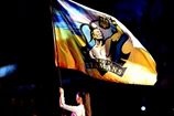 WSB. Украинские атаманы примут участие в новом сезоне Всемирной серии бокса 