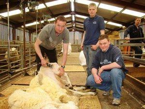 Новозеландские фермеры продвигают стрижку овец в программу ОИ Новозеландцы предлагают стрижку овец в качестве показательного вида спорта на Олимпийских ...