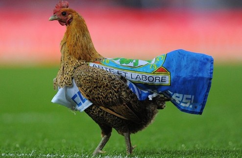 Курица, несущая тухлые яйца История с вылетом Блэкберна из АПЛ стала очередной иллюстрацией того, чего не должно быть в местном футболе.