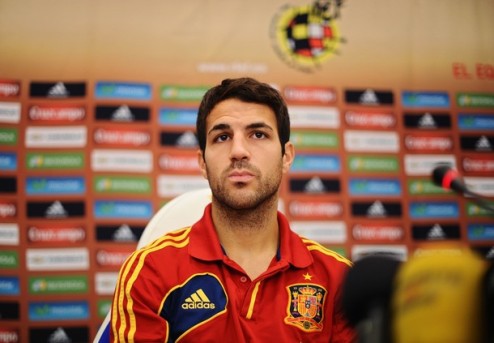 Фабрегас опасается Балотелли Полузащитник сборной Испании прокомментировал предстоящий финал Евро-2012 против итальянцев.