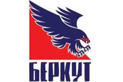 Беркут-2 меняет название Коллектив представителя аматорской хоккейной лиги Украины принял решение сменить название.