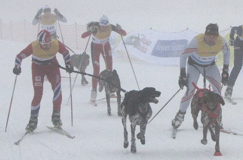 Бьорндален стал вторым в гонке на собачьих упряжках. ФОТО Легендарный биатлонист Уле-Эйнар Бьорндален принял участие в традиционном фестивале по лыжным ...