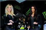 MotoGP. Гран-при Катара. Sexy grid girls